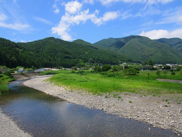 23.熊野古道はこの山の中を通っています.jpg