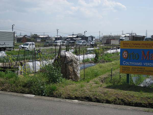 3.店前農園(2).jpg